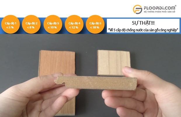 5 cấp độ chịu nước của gỗ công nghiệp lát sàn được các chuyên gia khuyến nghị nên dùng